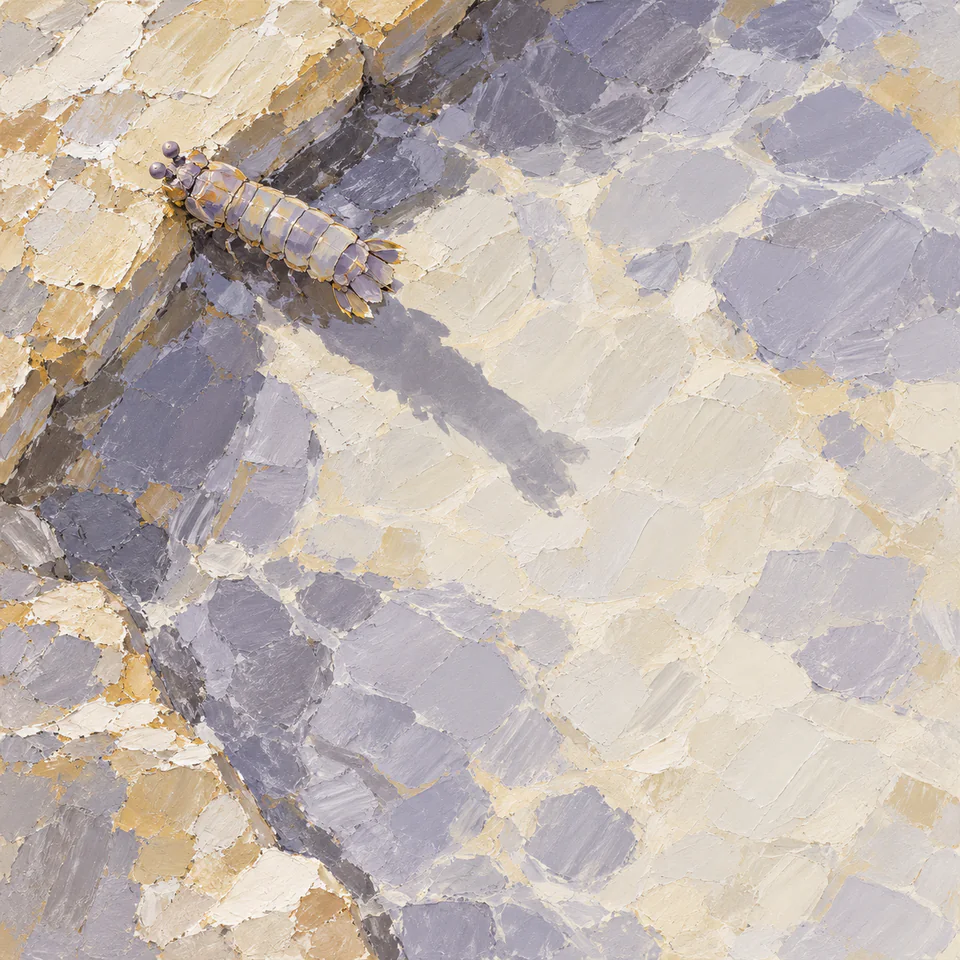 A small lilac-and-ochre mantis shrimp near an angular pool edge casts a long shadow across broad pale palette-knife planes.
