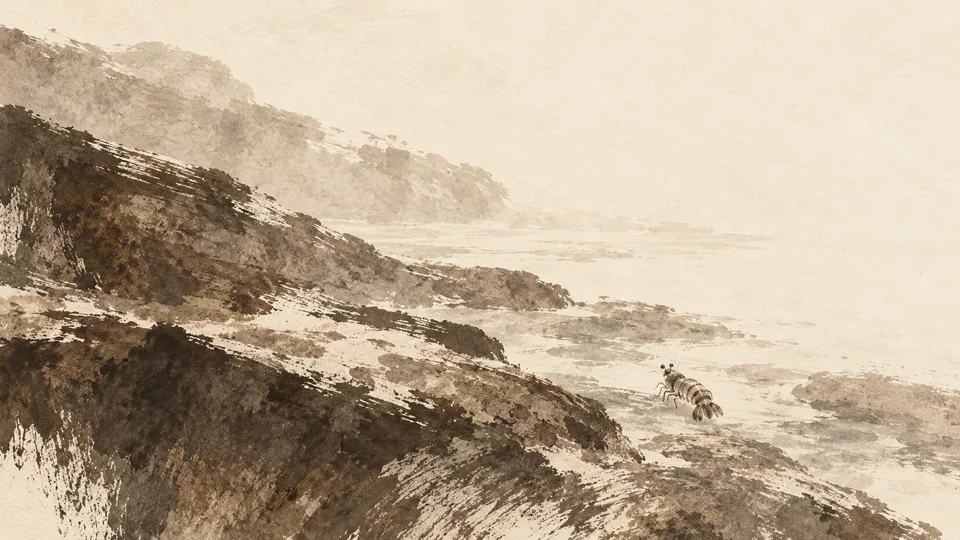 A tiny mantis shrimp walks away among broad umber brushstroke rocks in an open cream-colored ink landscape.
