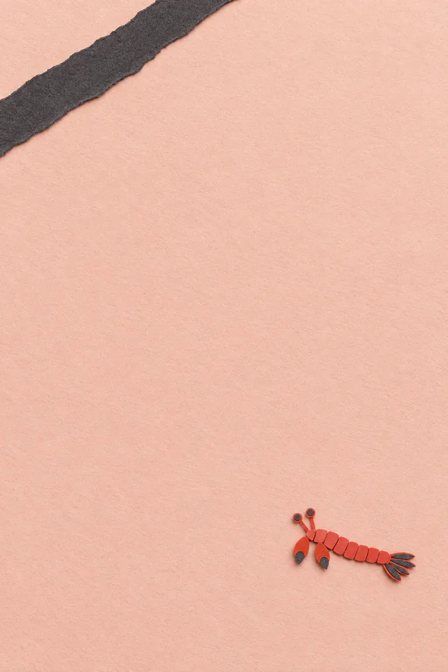 A tiny red paper mantis shrimp motif sits near the lower-right corner of blush paper opposite one charcoal strip.