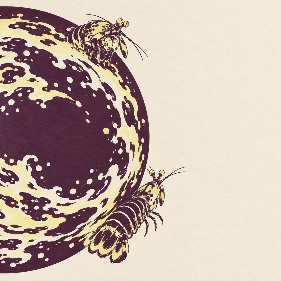 Two differently posed aubergine-and-lemon mantis shrimp motifs sit at separate points on a large tide disk cropped by the left edge.
