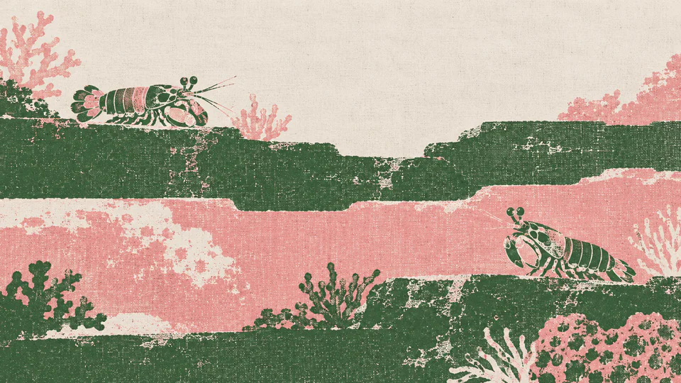 Two small green and dusty-pink mantis shrimp sit on separate reef bands across an open screen-print-style landscape.