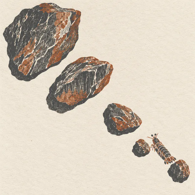 A tiny slate-and-rust mantis shrimp moves between two small stones at the end of a five-stone diagonal on cream paper.