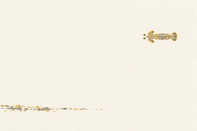A tiny gold-and-gray dorsal mantis shrimp motif floats high on the right above a broken tide mark across pale paper.