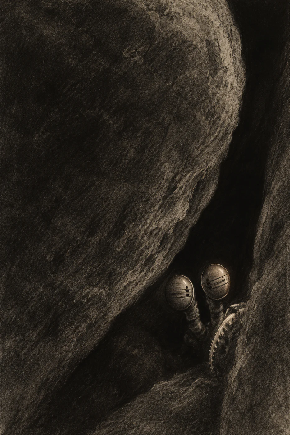 Two small banded mantis shrimp eyes and a curved club edge emerge low at right from a tall charcoal rock gap.