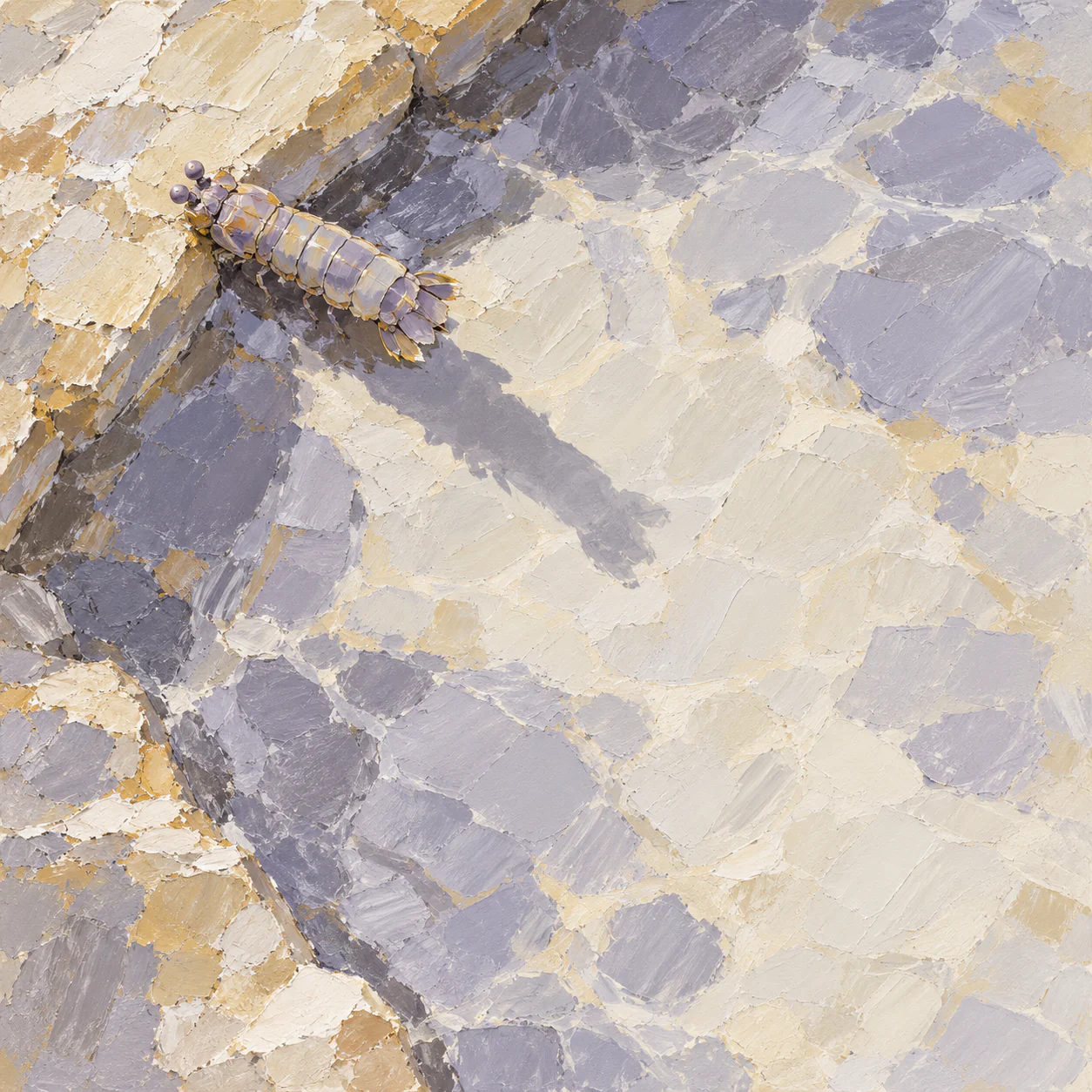 A small lilac-and-ochre mantis shrimp near an angular pool edge casts a long shadow across broad pale palette-knife planes.