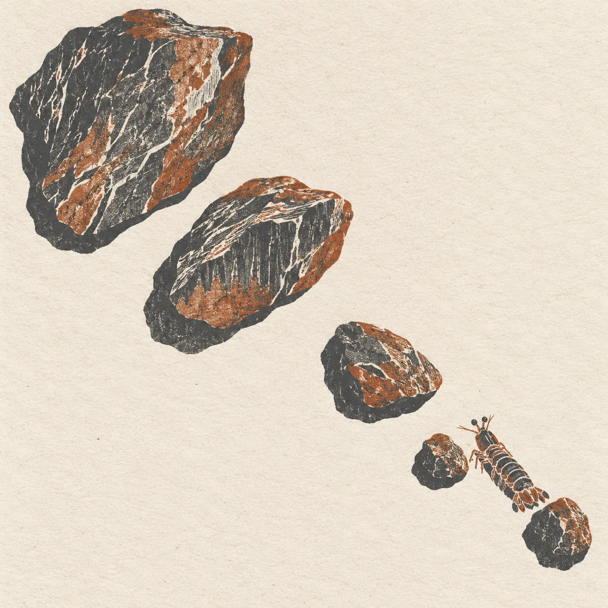 A tiny slate-and-rust mantis shrimp moves between two small stones at the end of a five-stone diagonal on cream paper.
