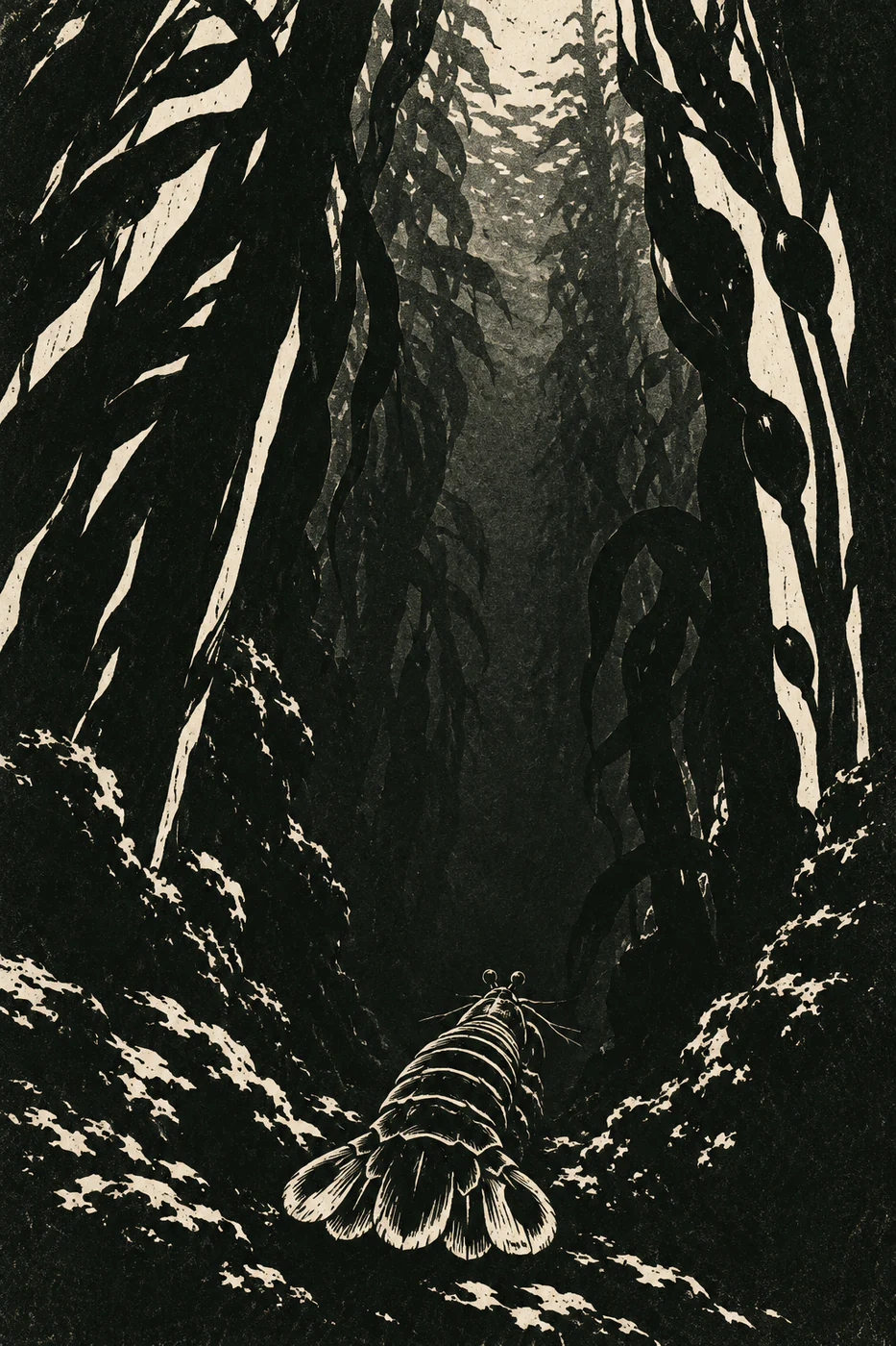 A rear-facing mantis shrimp recedes into a tall dark kelp passage, its tail and armor picked out in ivory linocut marks.