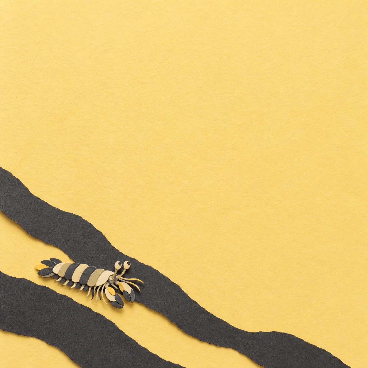 A small charcoal and cream paper mantis shrimp crosses between two dark strips on an open pale-yellow field.
