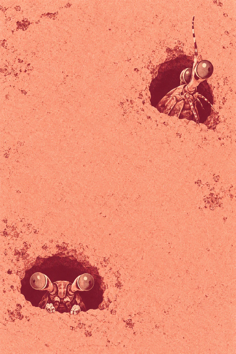 Two mantis shrimp peer from separate burgundy burrows in a peach print, one facing forward low on the left and one turning upward on the right.