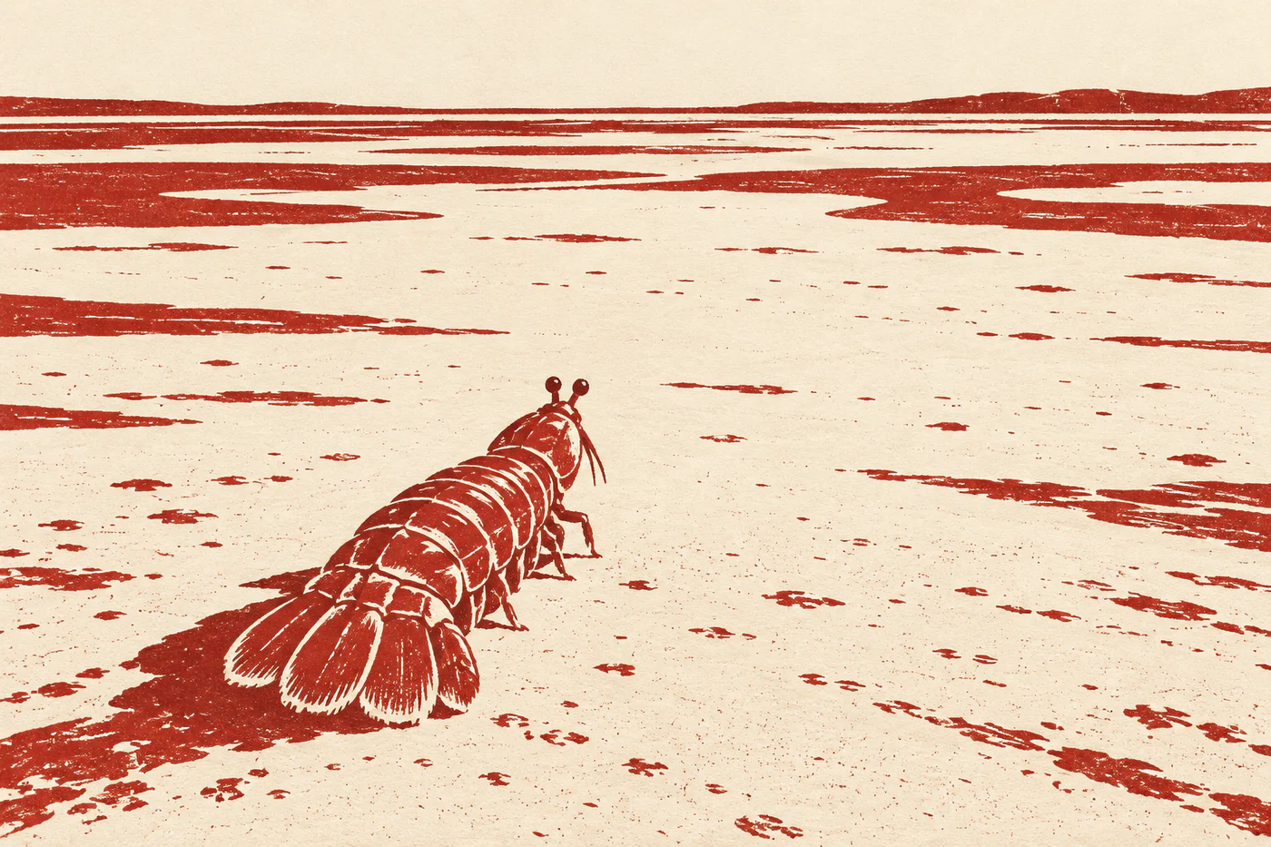 A brick-red mantis shrimp is seen from behind crossing a broad ivory sand flat in a linocut-style print.