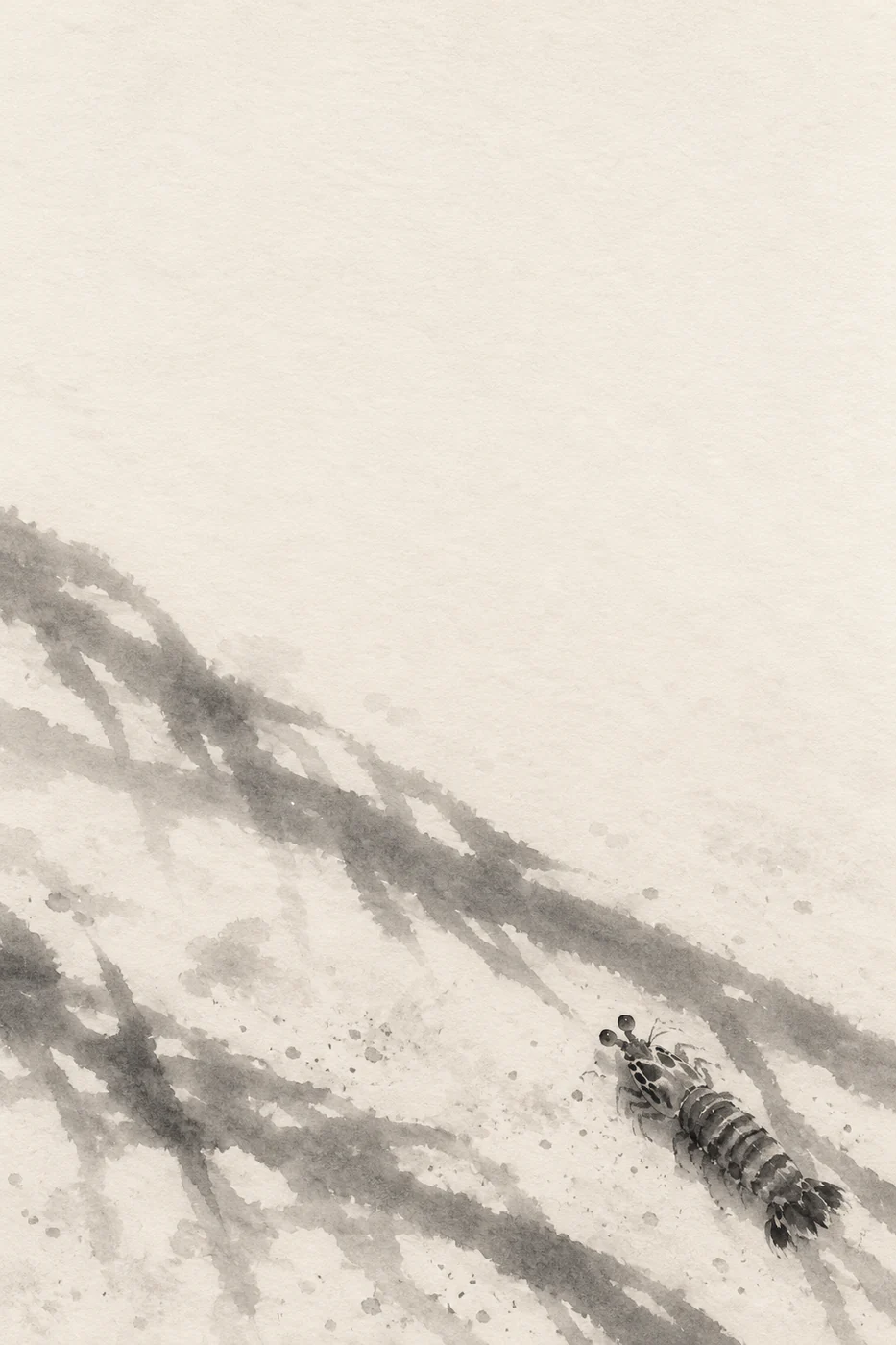A small mantis shrimp seen from above crosses soft diagonal plant shadows near the bottom of an ivory ink-wash page.